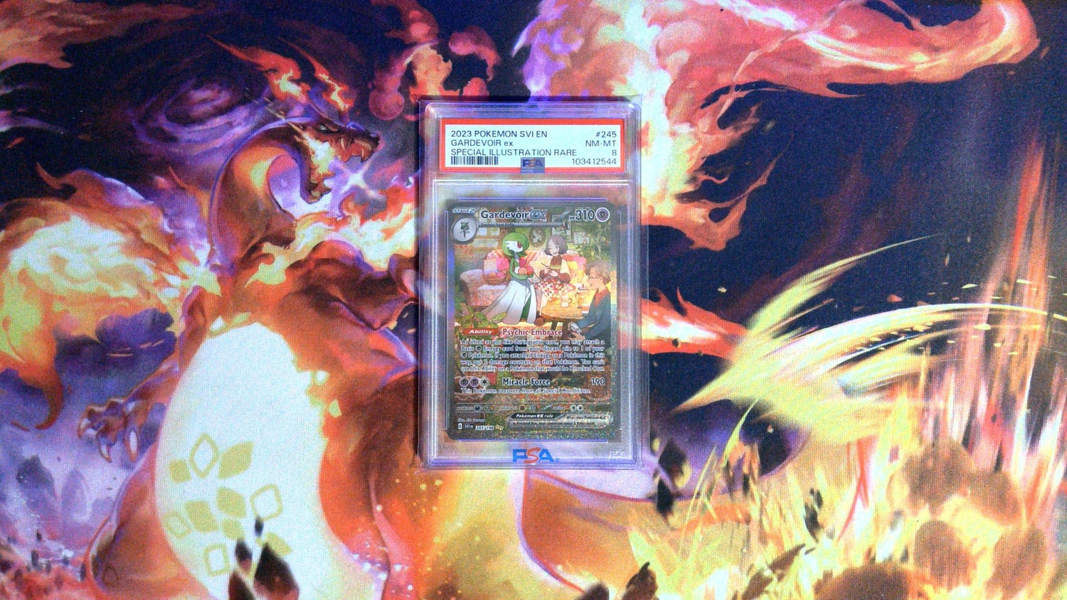 PSA 8 Gardevoir EX 245/198 - CardSquare L.L.C.